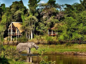 Camp Savuti Hotel Buitenkant foto